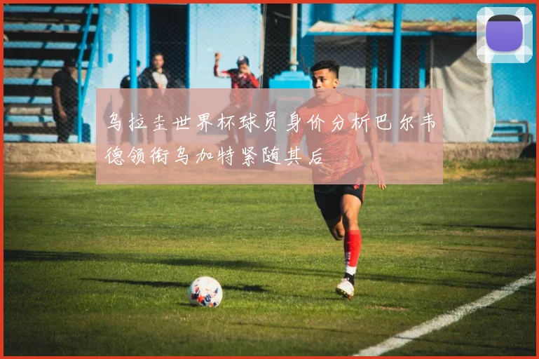 乌拉圭世界杯球员身价分析巴尔韦德领衔乌加特紧随其后